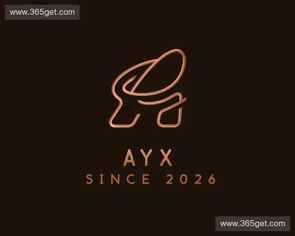 了解ayx官方入口